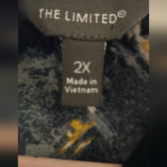 The Limited Split V Front Tie Button Down Blouse - Picture 4 of 6